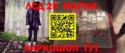 индика Беслан