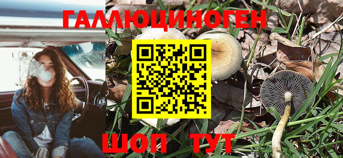 Псилоцибиновые грибы Cubensis Лиски