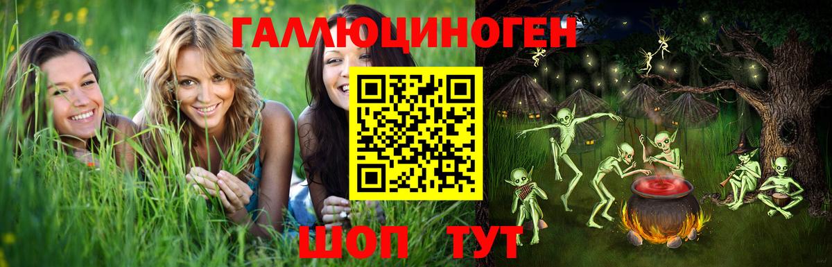 Псилоцибиновые грибы GOLDEN TEACHER Лиски